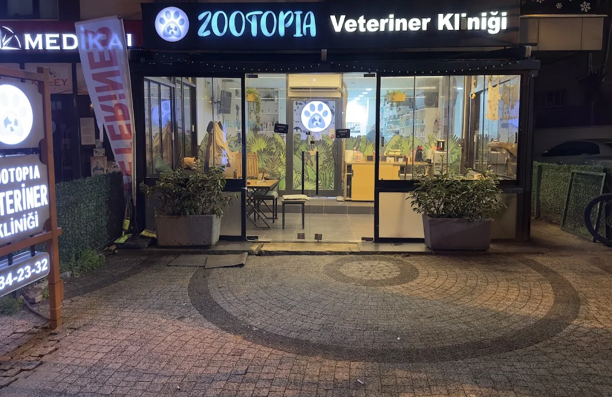 Zootopia Veteriner Kliniği
