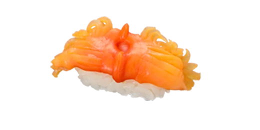 Ark Shell